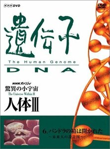 【中古】 NHKスペシャル 驚異の小宇宙 人体III 遺伝子~DNA 第6集 パンドラの箱は開かれた~未来人の設計図~