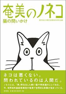 [ used ] Amami. no cat. cat. .....