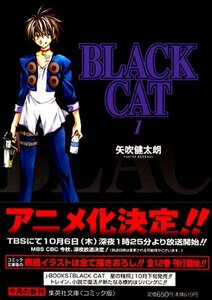【中古】 BLACK CAT 全12巻完結 [コミックセット]
