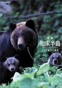 【中古】 四季・知床半島 ~ヒグマ親子の物語~ [DVD]