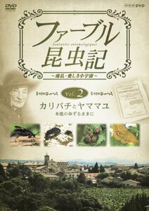 【中古】 ファーブル昆虫記 カリバチとヤママユ 本能の命ずるままに [DVD]