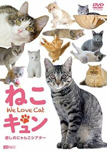 【中古】 シンフォレストDVD ねこキュン 癒しのにゃんこシアター We Love Cat