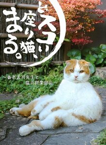 【中古】 どスコい座り猫、まる。～養老孟司先生と猫の営業部長 [DVD]