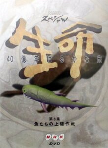 【中古】 NHK スペシャル 生命40億年はるかな旅 第3話:魚たちの上陸作戦 [DVD]