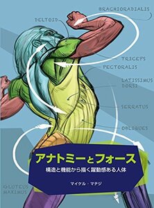 【中古】 アナトミーとフォース (フォースドローイング)