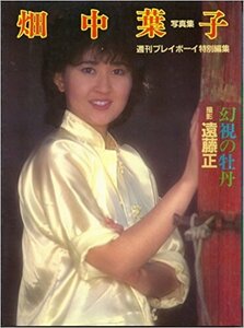 【中古】 畑中葉子写真集 (1983年)