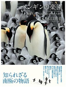 【中古】 ペンギンの楽園 地球上でもっとも生命にあふれた世界 The Paradise of Penguins