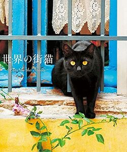 [ used ] world. street cat 