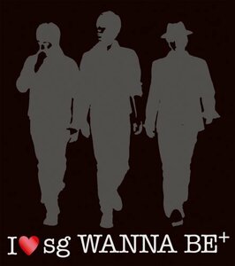 【中古】 I LOVE sg WANNA BE+ (初回限定盤) (DVD付)