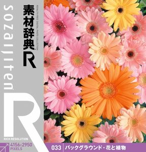 【中古】 素材辞典 R アール 033 バックグラウンド 花と植物