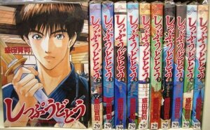 【中古】 しっぷうどとう 全11巻完結 (ビッグコミックス) [コミックセット] 盛田 賢司