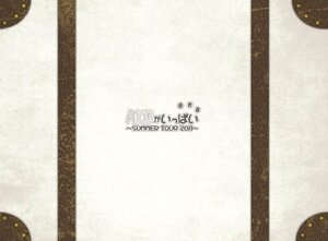 【中古】 AKB48 AKBがいっぱい~SUMMER TOUR 2011~ スペシャルBOX [DVD]