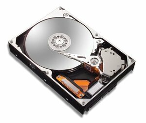 【中古】 Maxtor DiamondMax 10?160?GB SATA / 150?7200rpm 8?MBハードド