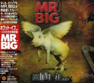 【中古】 ホワット・イフ・・・ (初回限定盤) (DVD付)