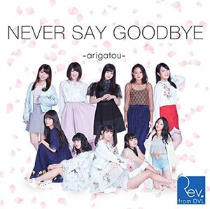 【中古】 NEVER SAY GOODBYE ~arigatou~ (Type-B) (DVD付)