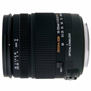 【中古】 シグマ 18-125mm F3.8-5.6 DC HSM ソニー用