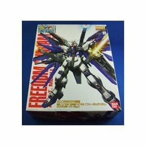 【中古】 【ガンプラEXPO限定】 MG 1/100 フリーダムガンダム クリアカラーバージョン プラモデル