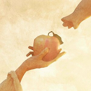 【中古】 りんごの木 / 宇宙からやってきたにゃんぼー (DVD付)