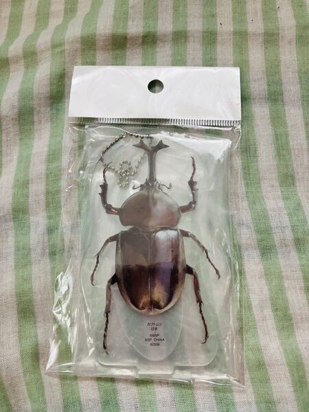 一番くじ 昆虫 カブトムシ アクスタ