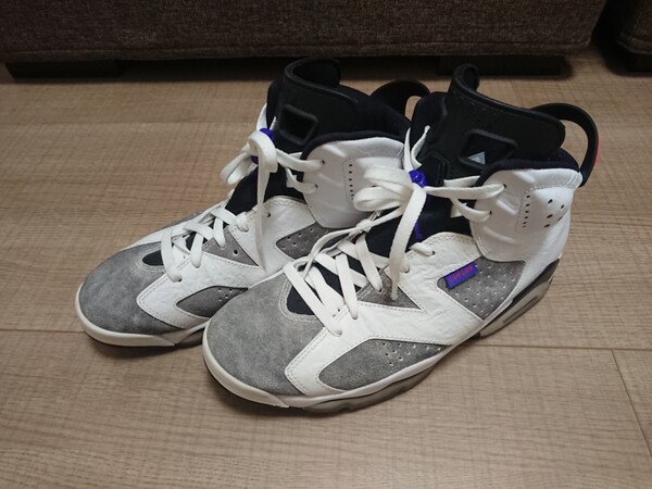 NIKE AIR JORDAN 6 RETRO LTR US10 28cm CI3125-100 フライト ノスタルジー