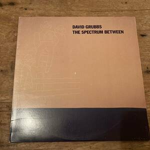 DAVID GRUBBS : The Spectrum Between (LP) レコード