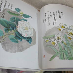   あなたの手のひら 花の詩画集  星野富弘 : 星野富弘詩画とエッセイ 清雅、花々への愛が広がる詩画集の画像8