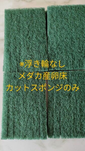 メダカ産卵床　カットスポンジのみ　24個