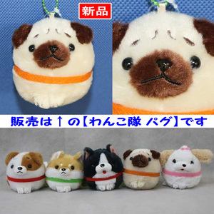 即決 高9 マスコット まるいわんこ隊 パグ ぱぐ いぬ イヌ 犬 dog ボールチェーン付 ぬいぐるみ【新品仕入商品/1086】