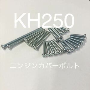新品　KH250 250SS 350SS 400ss エンジンカバーボルト ユニクロメッキ 1台分 日本製 全ネジタイプ