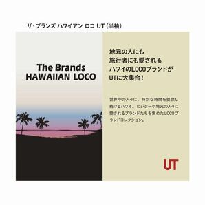 ◇ ユニクロ ～The Brands HAWAIIAN LOCO / ザ・ブランズ ハワイアンロコ～ メンズ【 Hawaiian Sun 】半袖Tシャツ《 L 》 NAVY ◎新品◎の画像3
