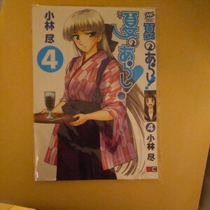 夏のあらし! カヤ 着せ替えブックカバー 小林尽 　ガンガンWING 2009年2月号特別付録