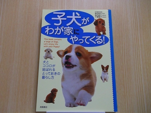 子犬がわが家にやってくる！