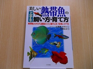 美しい熱帯魚の上手な飼い方・育て方　熱帯魚