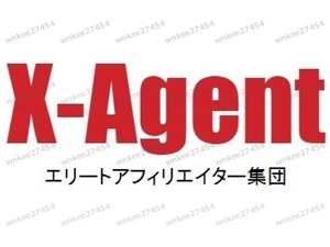 【仙人さん】X-Agent（授業全12話）エリートアフィリエイター集団｜授業音声 mp3 Xエージェント アフィリエイト 代理店ビジネス Mr.X 