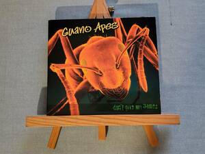 3727h 即決有 中古輸入CD デジパック仕様 独オルタナ/へヴィロック GUANO APES 『Don't Give Me Names』 グアノ・エイプス Nu Metal 