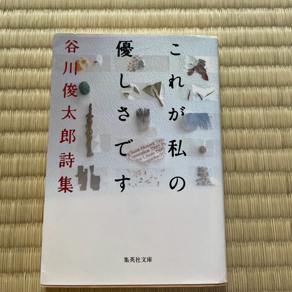 これが私の優しさです　谷川俊太郎詩集 （集英社文庫） 谷川俊太郎／著