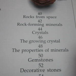 洋書 Rocks & Minerals （石とミネラルの図鑑）の画像4