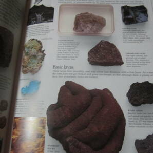 洋書 Rocks & Minerals （石とミネラルの図鑑）の画像6