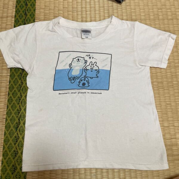 マリンワールド 半袖Tシャツ 120