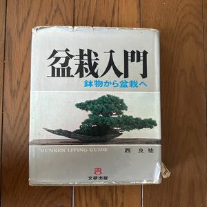 盆栽入門　鉢物から盆栽へ　西良祐　文研出版　1971年発行