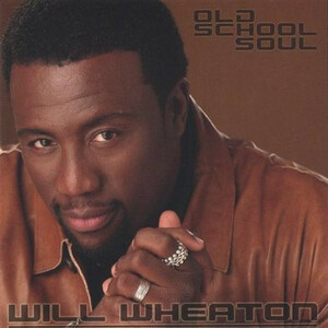 インディ人気作 廃盤 Will Wheaton Old School Soul　R＆B　indie soul SOUL DIGGER　レア盤　名曲満載　