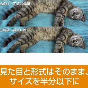 【ダウンロード版】動画圧縮のプロ ソースネクスト パソコン ソフト ソフトウェア Windows 変換ソフトの画像4