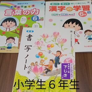 小学６年生　問題集　漢字　家庭学習　夏休み　お勉強　復習　自宅保管
