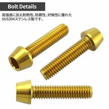 ゼファー750 RS エンジンカバーボルト 20本セット ステンレス製 テーパーヘッド カワサキ車用 ゴールドカラー TB8961_画像3