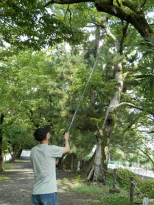  ≪セミとり名人≫c【網直径10㎝+棒長さ110-360cm】面白いほど捕れる！伸縮式昆虫ネット/虫取り/虫とり/甲虫/昆虫採集に/アウトドア