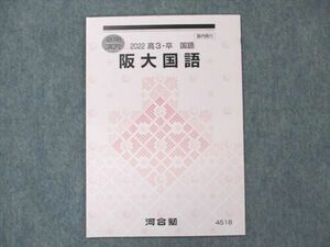 US19-081 河合塾 阪大国語 未使用 2022 夏期講習 04s0B