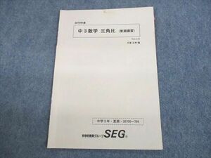 US11-108 SEG 中3数学 三角比(夏期講習) テキスト 2019 大賀正幸 03s0B