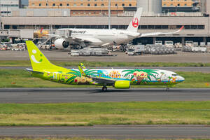 飛行機 デジタル 画像 ソラシドエア ナッシージェット宮崎 1