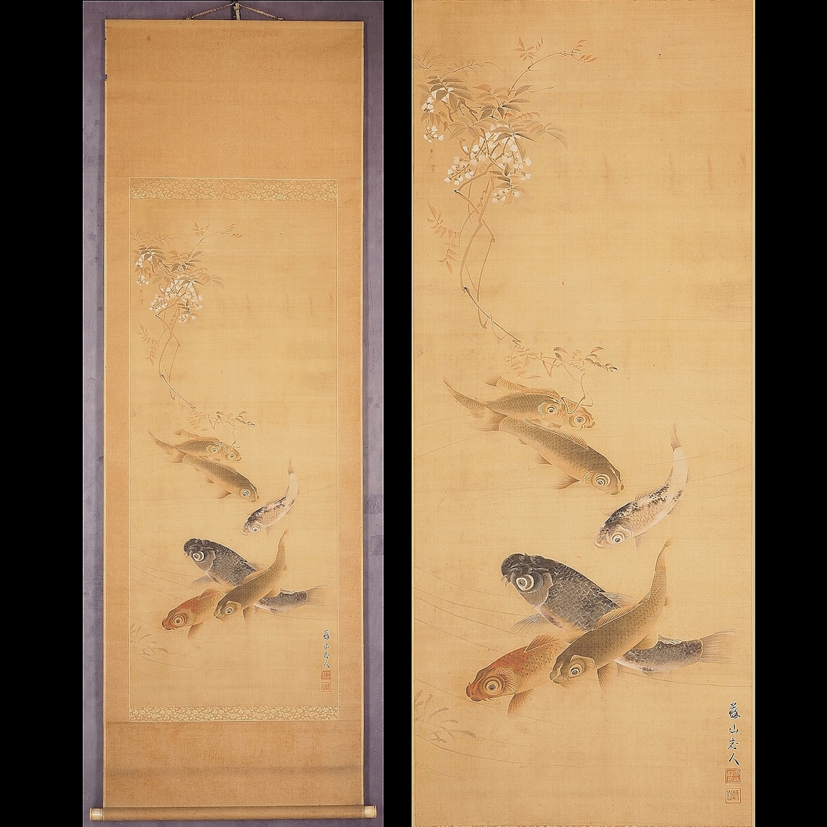 [असली] [वातारिकन] [अनरिन-इन सोज़ान] 6625 लटकता हुआ स्क्रॉल जापानी पेंटिंग कोइ कार्प चित्र संयुक्त बॉक्स रेशम फूल और पक्षी चित्र कुमामोटो हिगो मास्टर काजीयामा कुगाकु फूचिनो कीसेन अंकित, चित्रकारी, जापानी चित्रकला, फूल और पक्षी, वन्यजीव