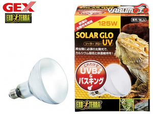 GEX solar glow UV 125W PT2192 reptiles amphibia supplies reptiles supplies jeksEXO TERRA